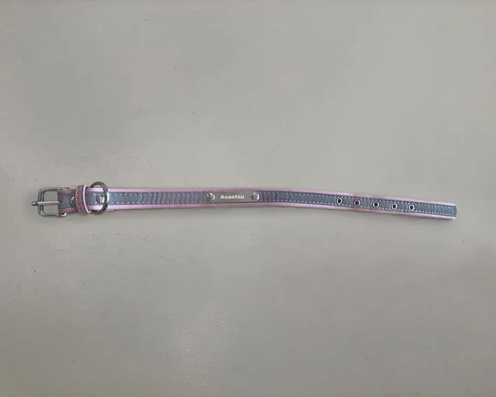Asaetsu Animal Collar,Comfortable Durable Animal Collar, Pink