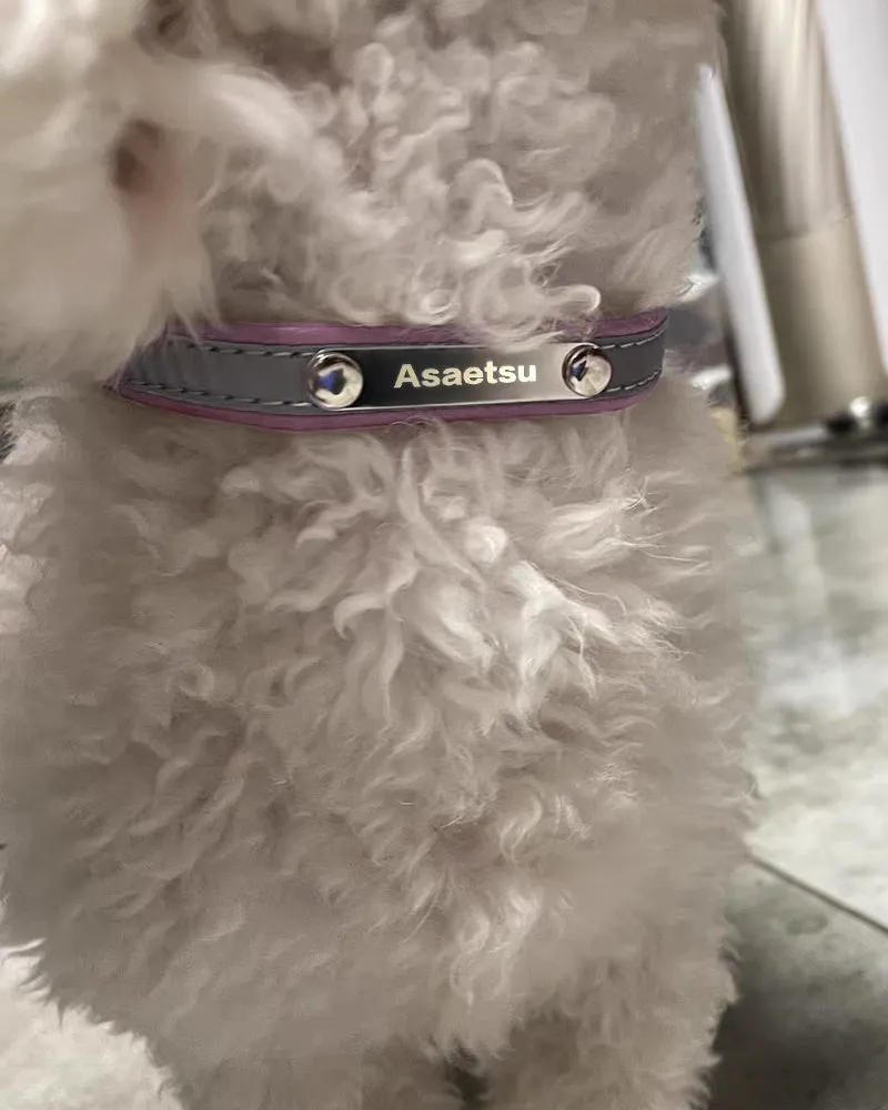 Asaetsu Animal Collar,Comfortable Durable Animal Collar, Pink