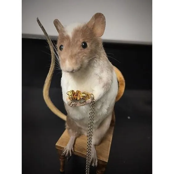 Baby Necklace