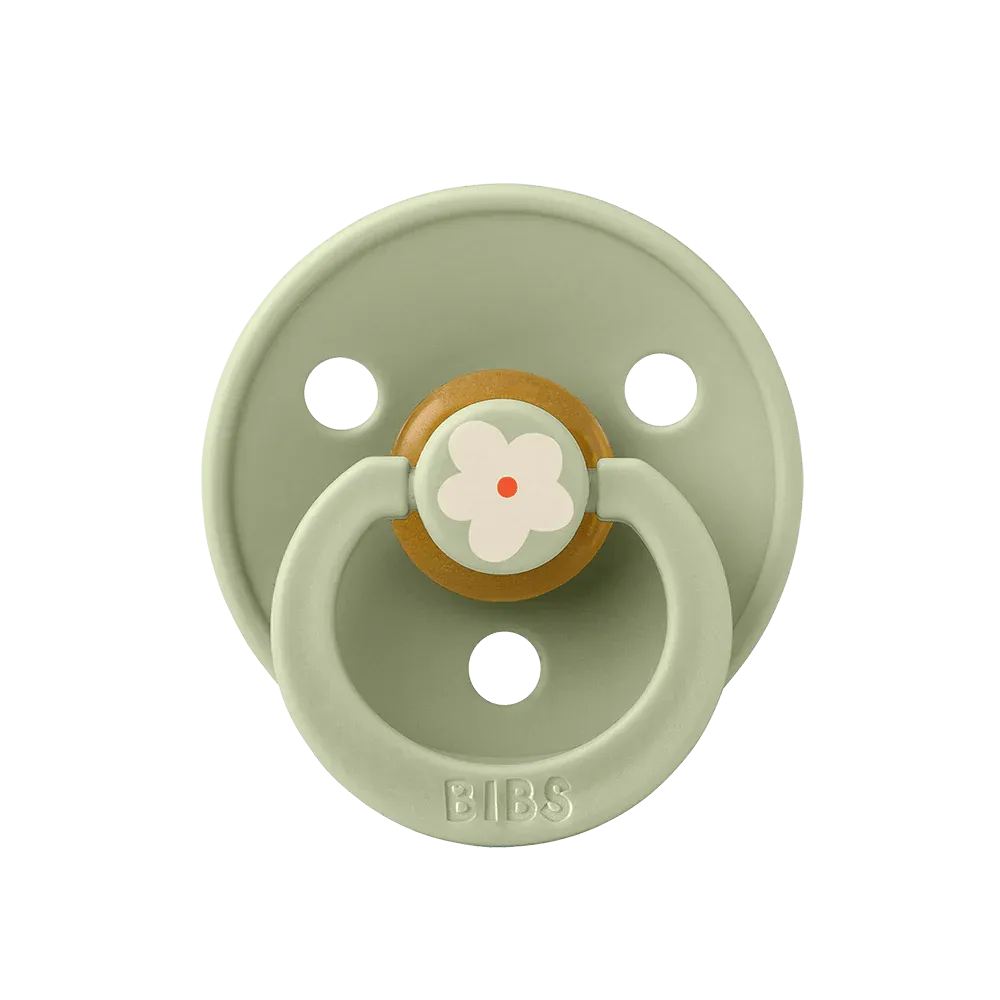 Bibs Studio Collection Colour Pacifier - Jasmine Sage Mix