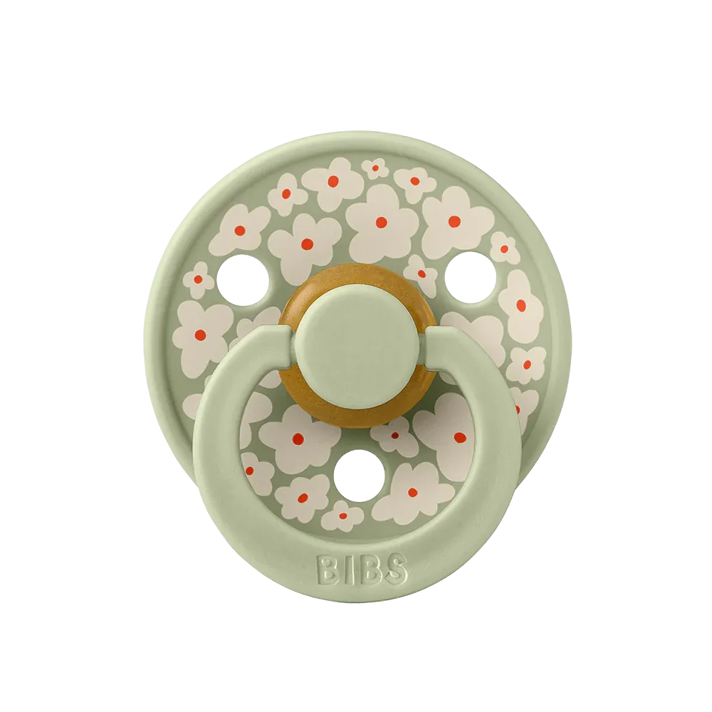 Bibs Studio Collection Colour Pacifier - Jasmine Sage Mix