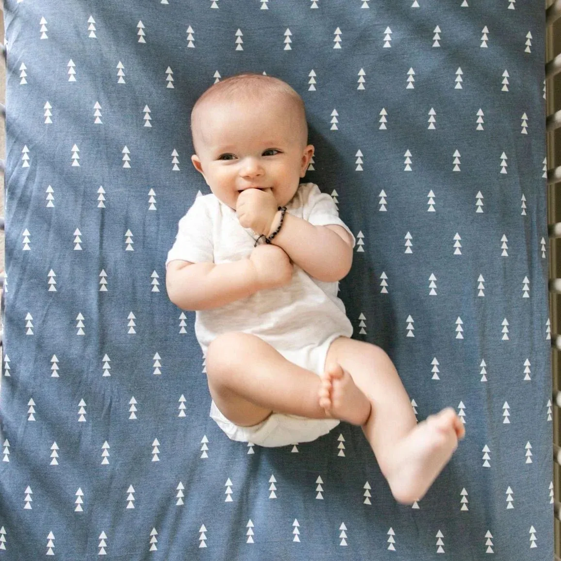 Copper Pearl Premium Knit Fitted Crib Sheet - North