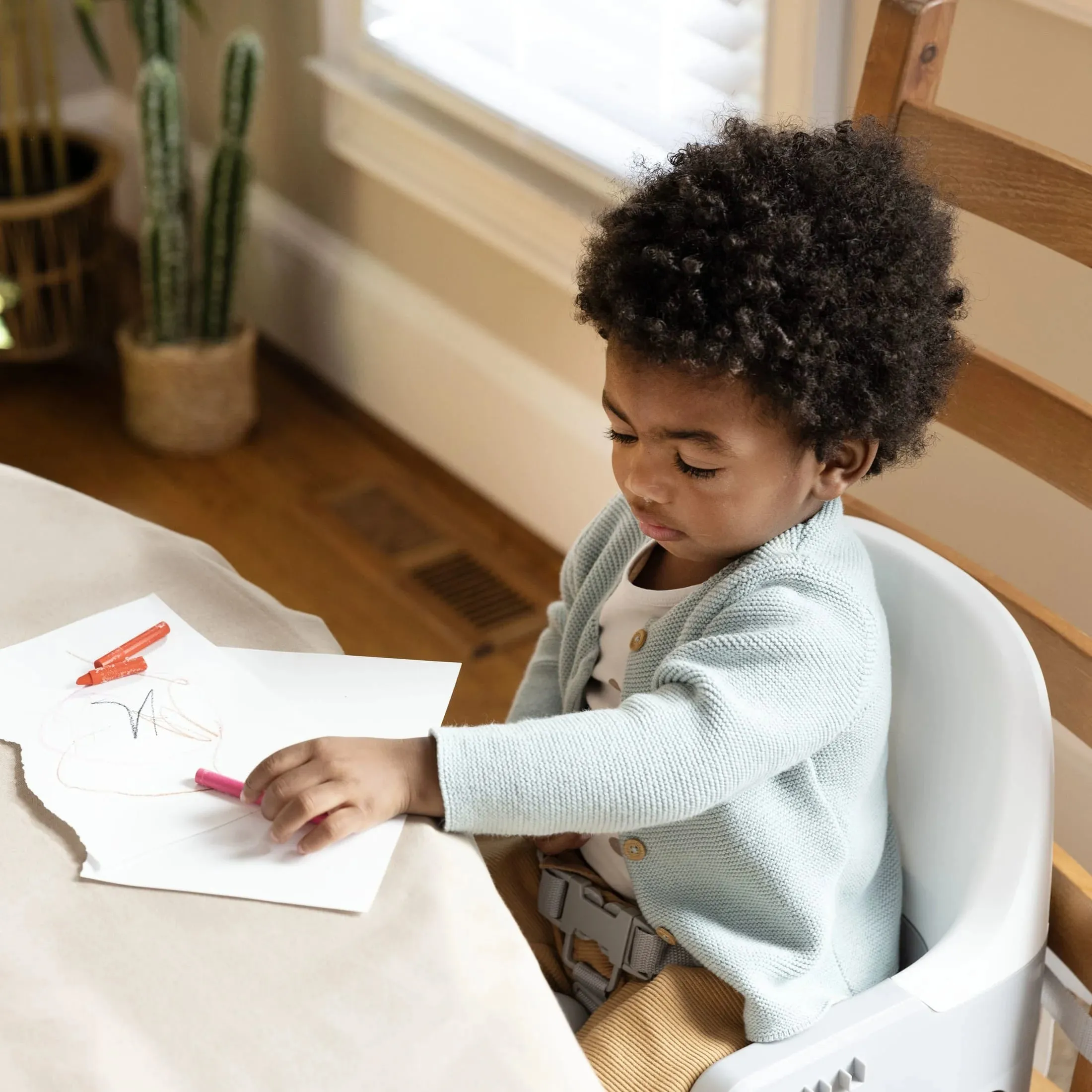 Deluxe Learn-To-Dine Feeding Seat