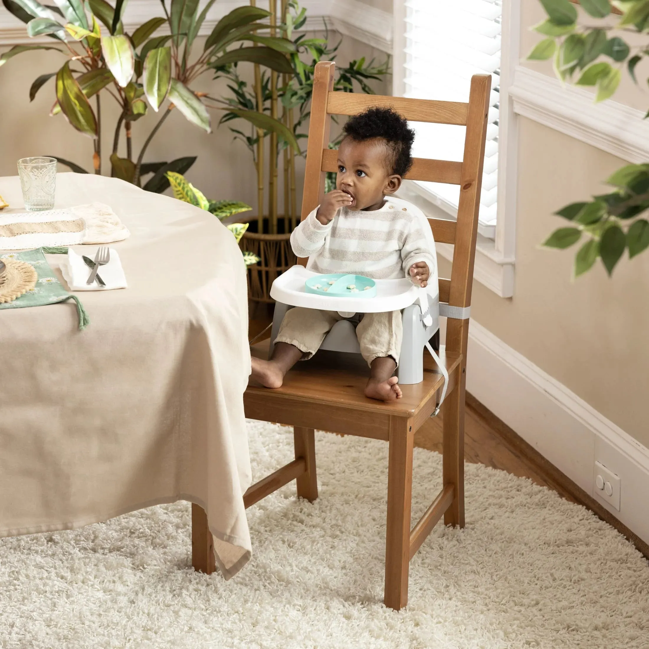 Deluxe Learn-To-Dine Feeding Seat