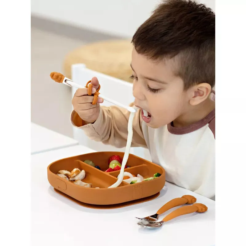 Elephant Learning Chopsticks