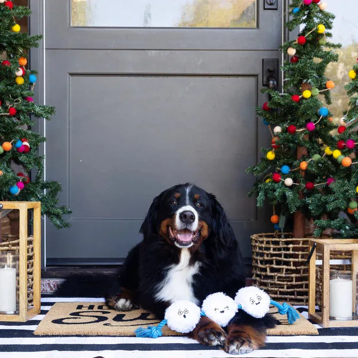 Fringe Dog Toy Holiday Snow Time for Fun