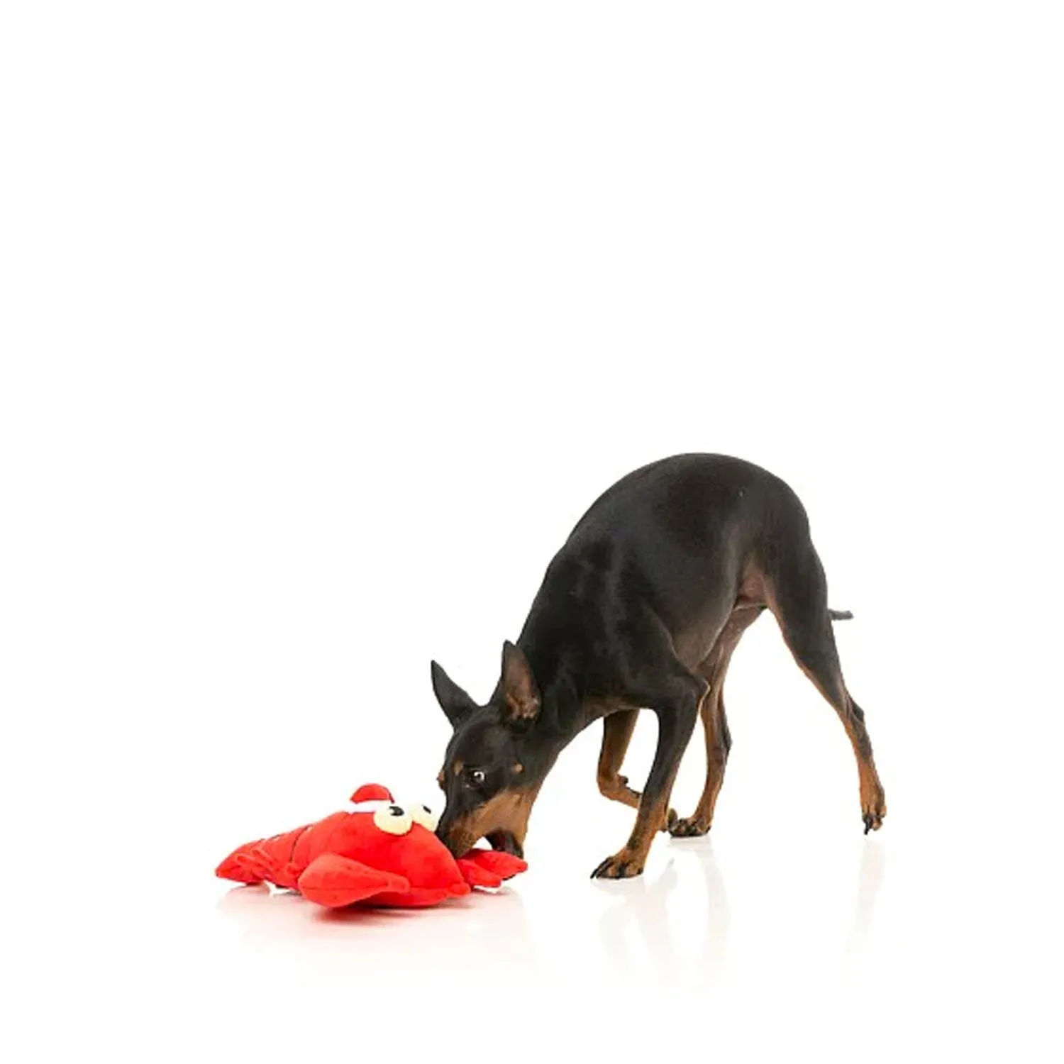 Fuzzyard Lobbie Williams Dog Toy - Christmas