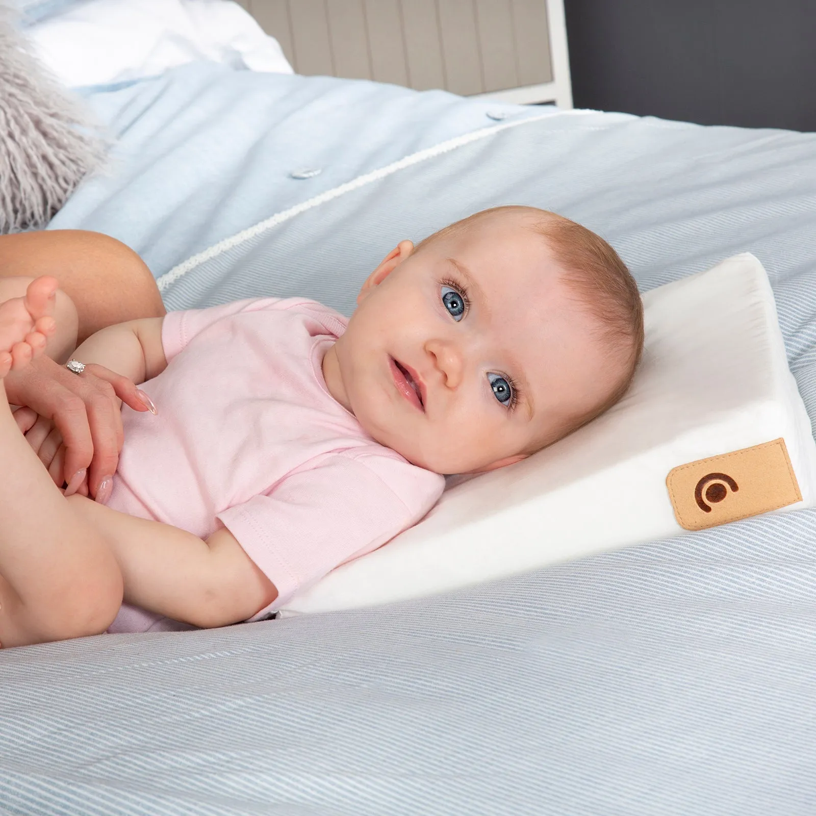 Organic Cotton 2pk Support Pillow & Wedge