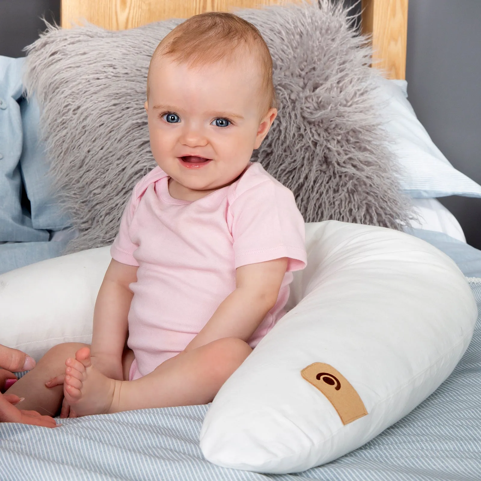 Organic Cotton 2pk Support Pillow & Wedge