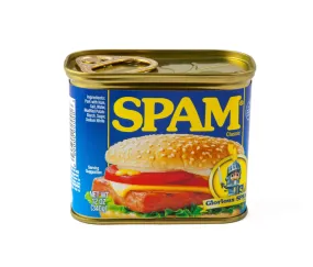 Spam Can Safe