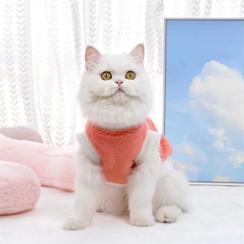 Winter Cat Clothing